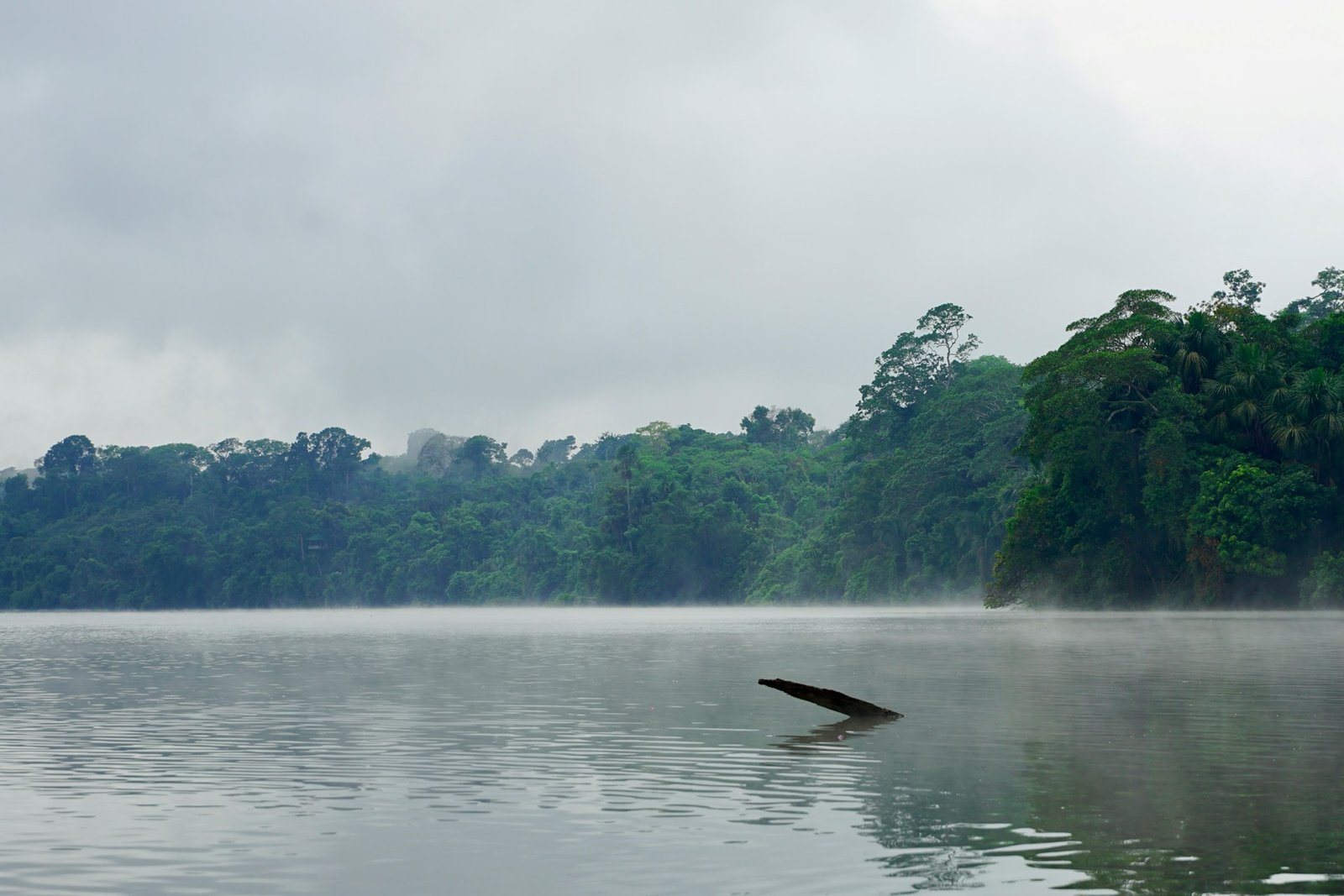 Lago Sandoval rodeado de selva en Puerto Maldonado