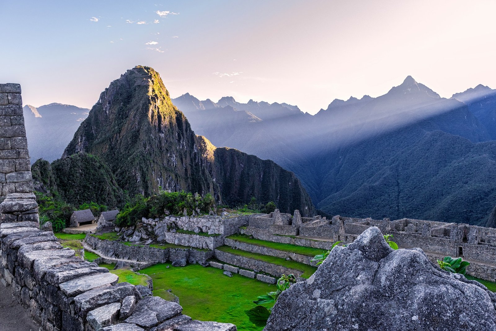 Vista de Machu Picchu con dos vicuñas en primer plano