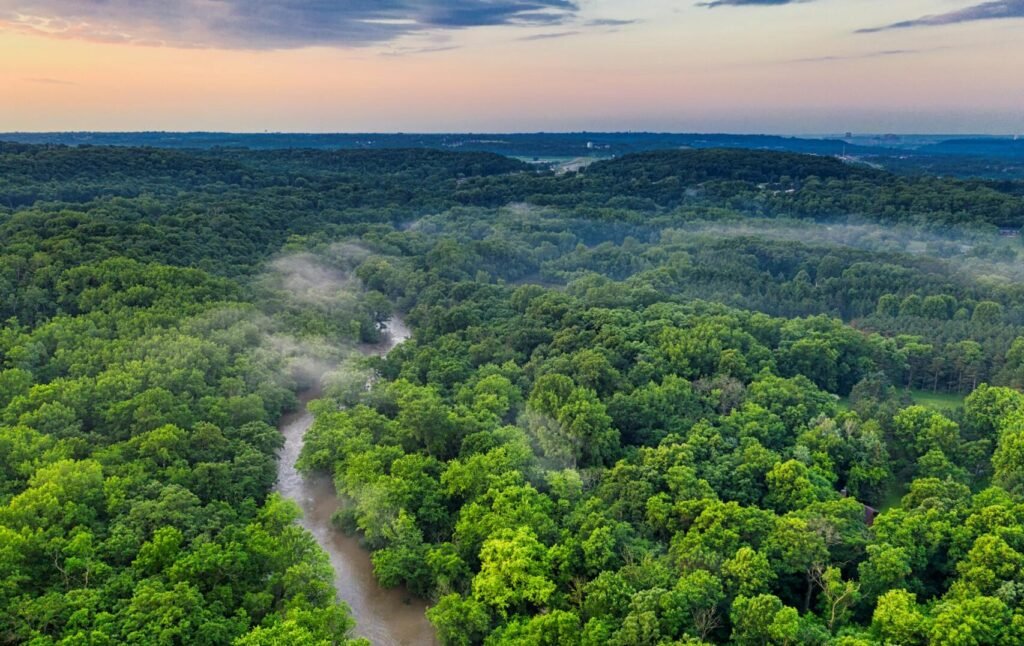 Vista aérea de la selva amazónica en Puerto Maldonado, una experiencia de slow travel y aventura ofrecida por Perú Atractivo.