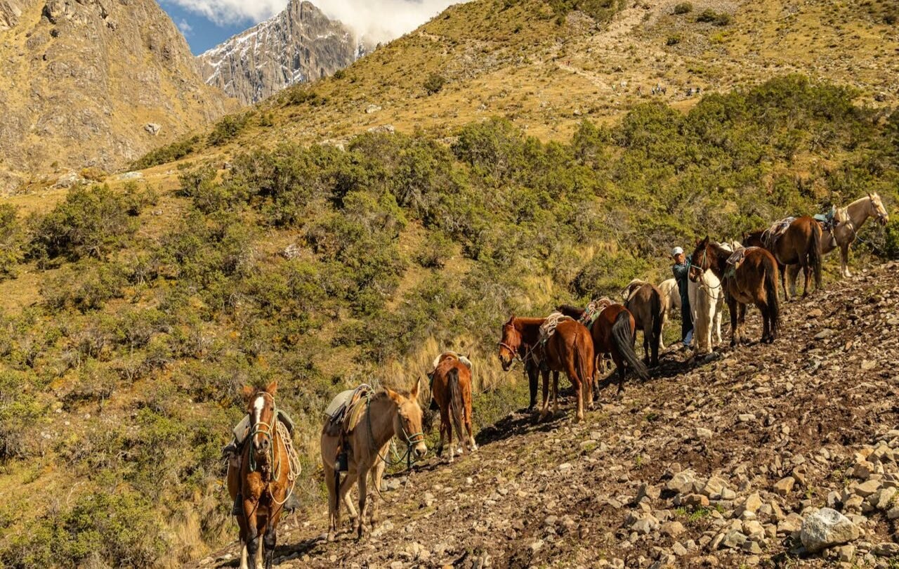 Naturaleza | Paisajes naturales de Perú, incluyendo la belleza que engloba este maravilloso país.