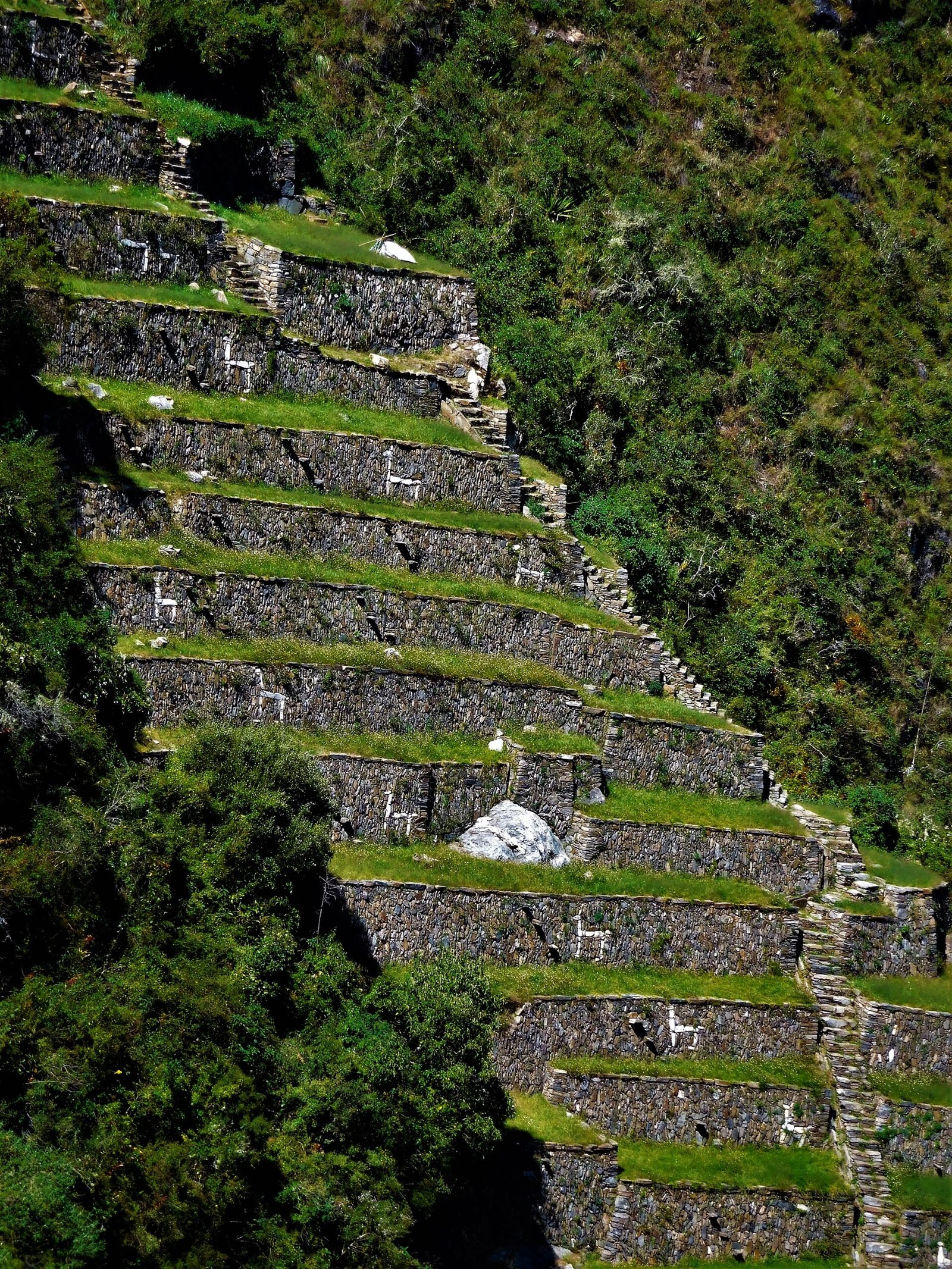Terrazas agrícolas incas de Choquequirao perfectamente escalonadas en la ladera