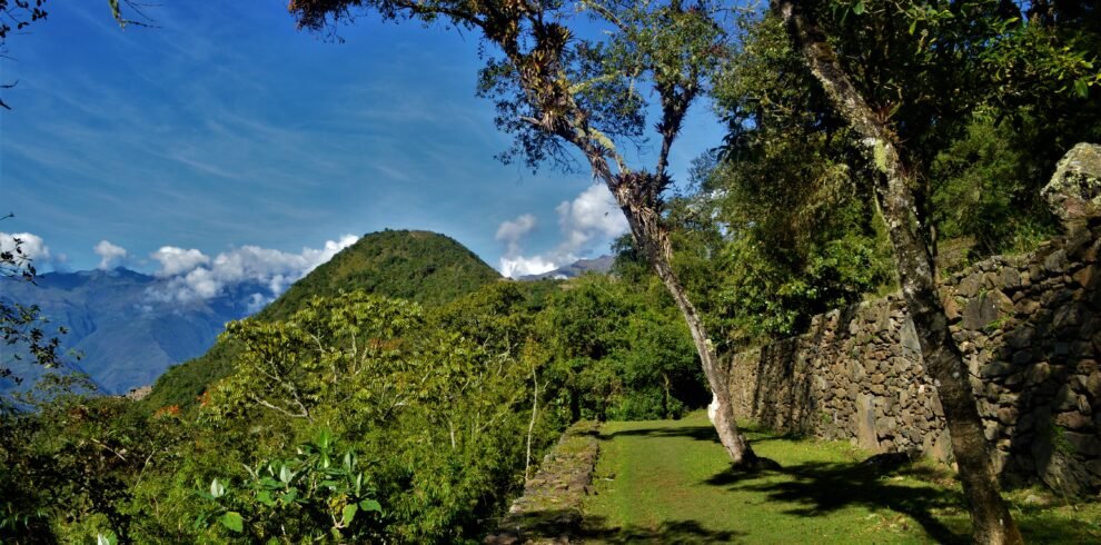 Plaza verde de Choquequirao con árbol centenario y muros incas bajo cielo azul