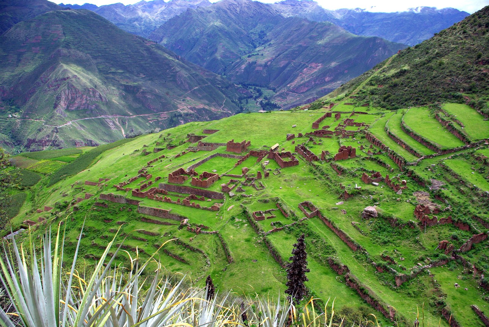 Vista panorámica de extenso complejo arqueológico inca en valle verde con terrazas