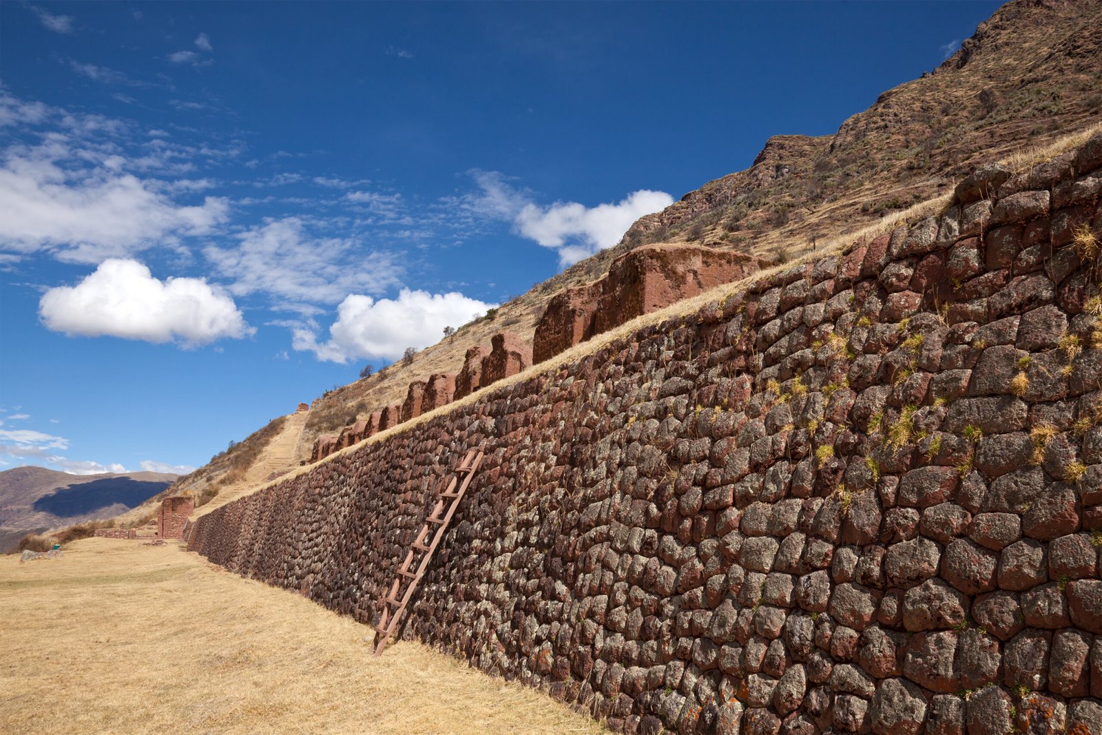 Ruinas incas con terrazas escalonadas y muros de piedra bajo cielo azul