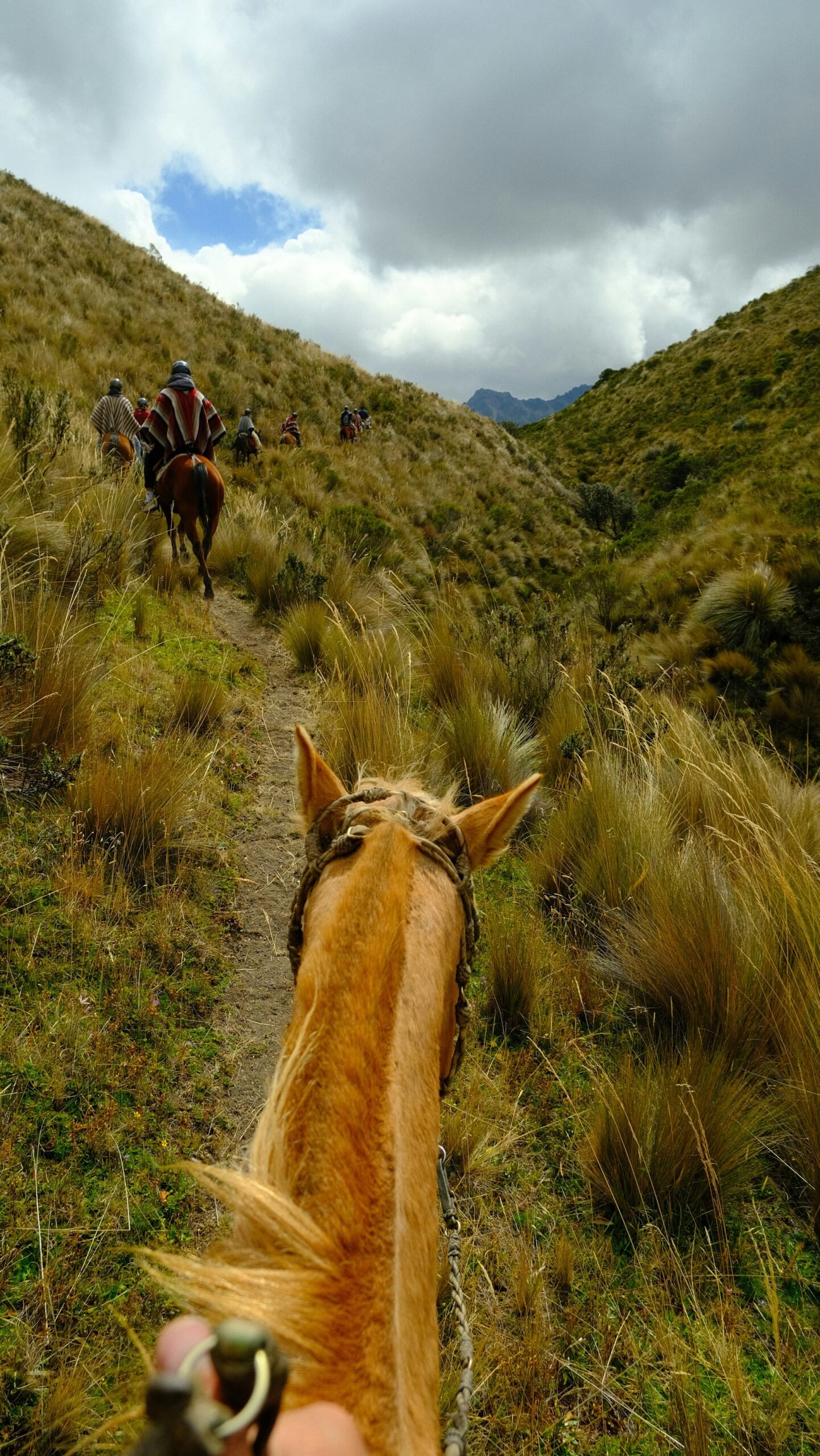 Grupo de jinetes cabalgando por sendero andino con vista de montañas