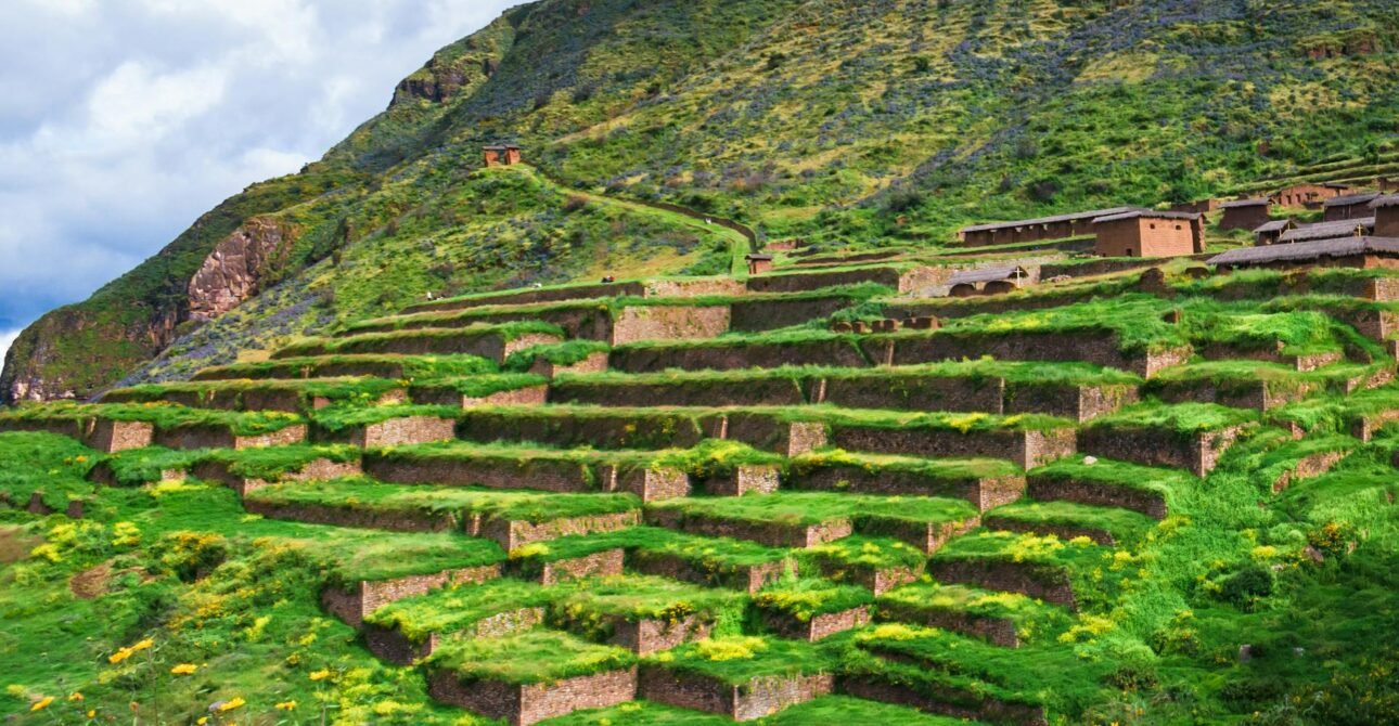 Terrazas agrícolas incas escalonadas en ladera de montaña con vegetación verde