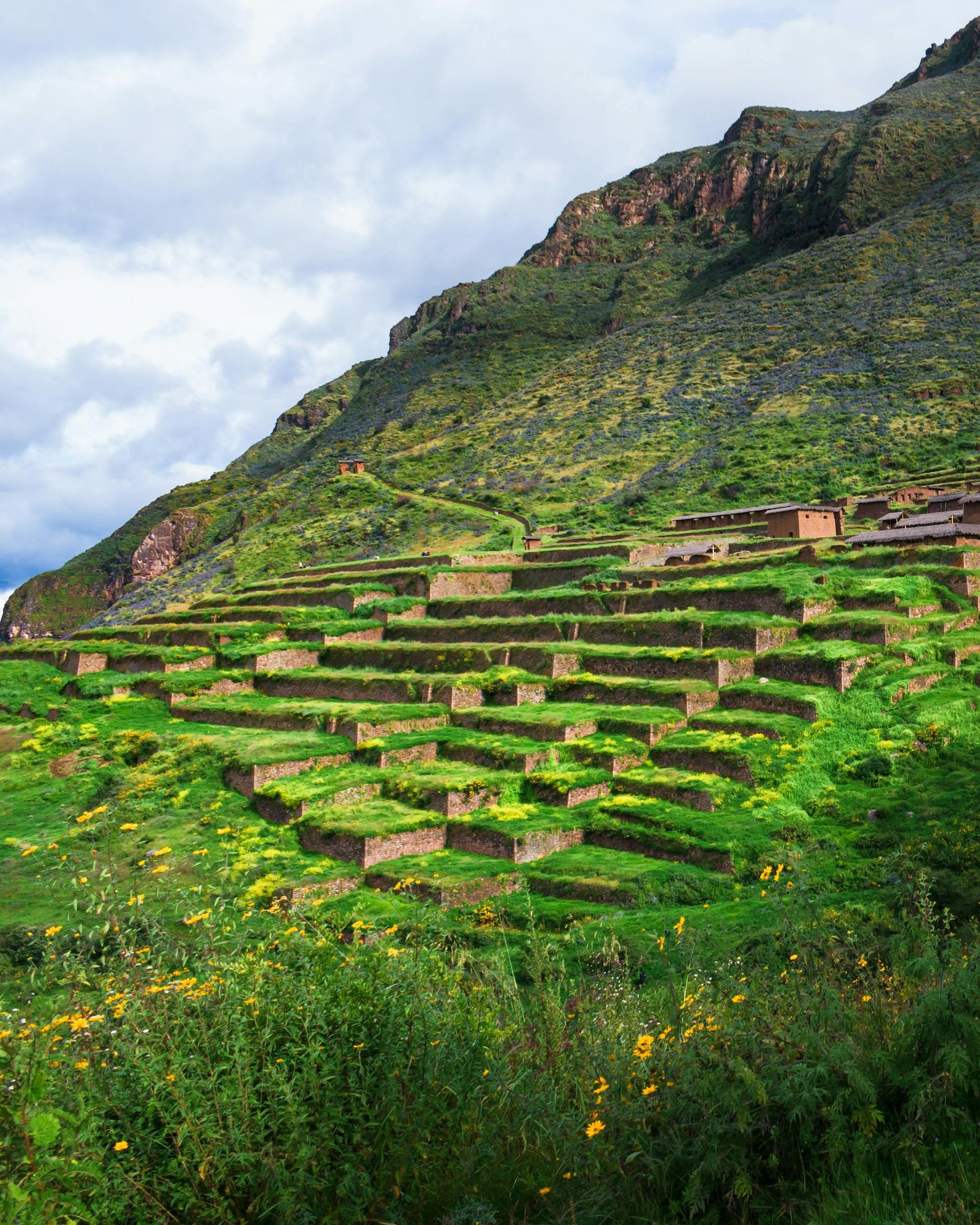 Terrazas agrícolas incas escalonadas en ladera de montaña con vegetación verde