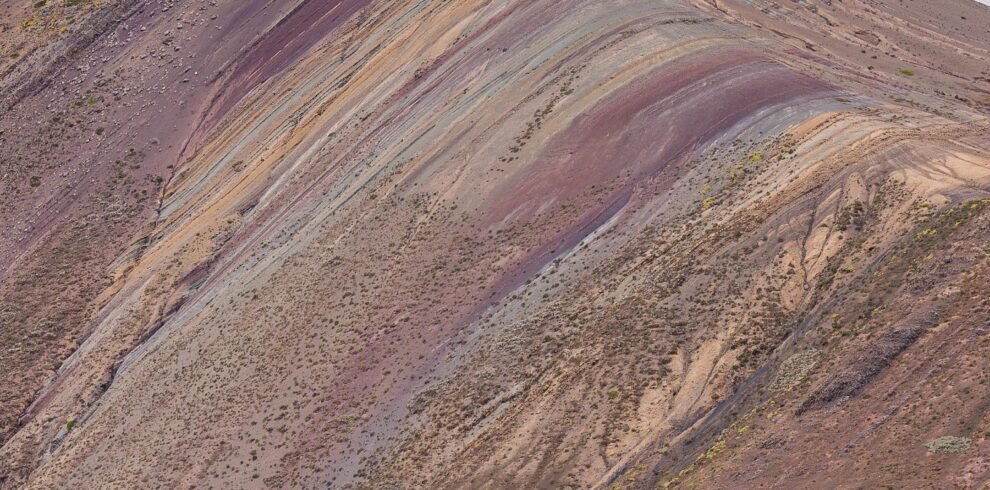 Alpaca frente a la espectacular Montaña de Colores Palcoyo con sus característicos estratos minerales multicolores