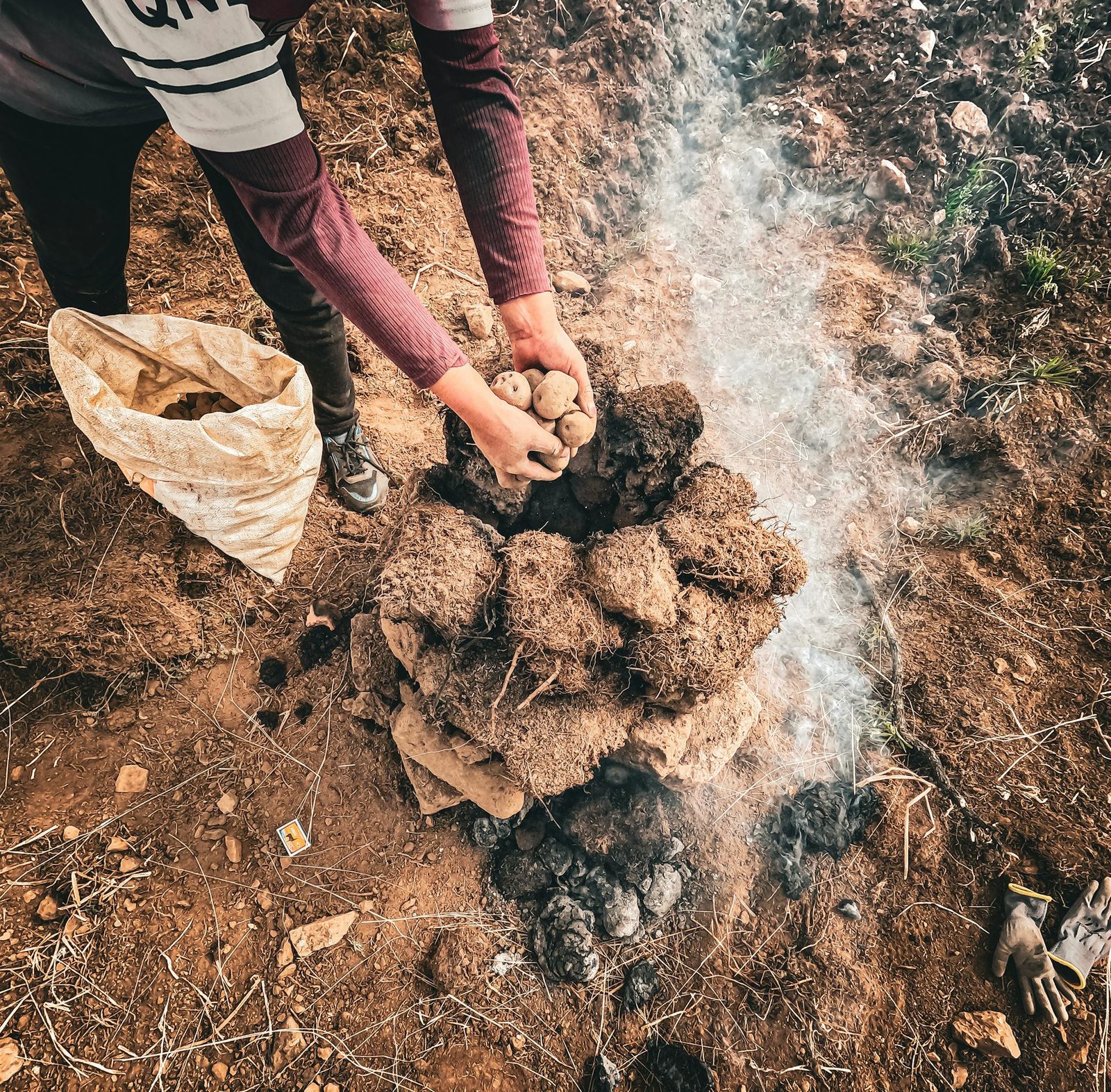 Persona colocando papas en horno de tierra mientras emerge humo, mostrando el proceso tradicional de preparación de pachamanca en Patabamba, Valle Sagrado.
